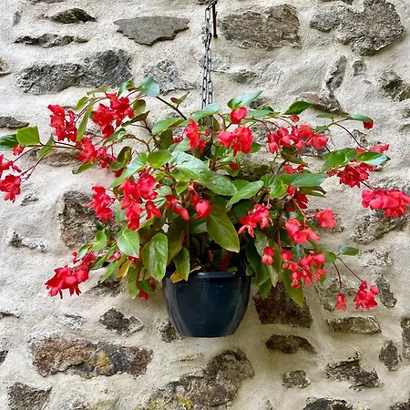 Дом отдыха Stunning Boutique Flore At Vive Le *