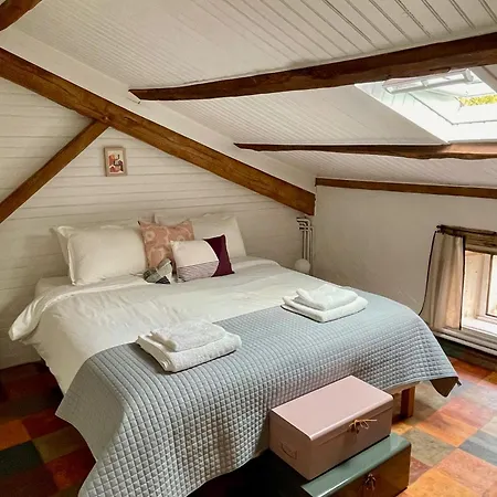 Stunning Boutique Flore At Vive Le *