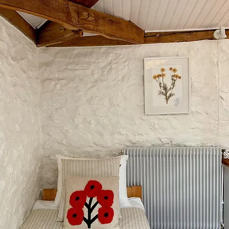 Stunning Boutique Flore At Vive Le *