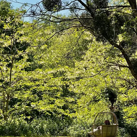 Дом отдыха Stunning Boutique Flore At Vive Le