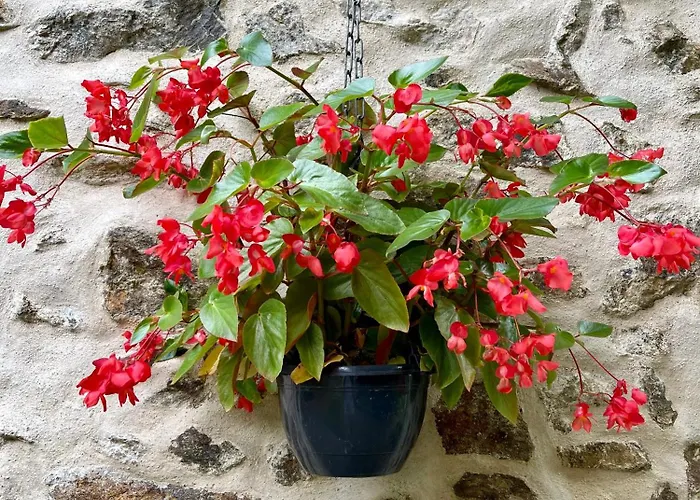 Feriehus Stunning Boutique Flore At Vive Le *