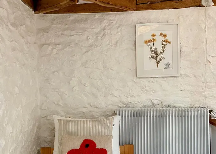 Stunning Boutique Flore At Vive Le *