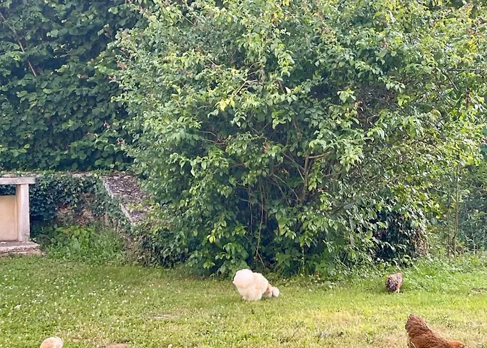 Stunning Boutique Flore At Vive Le *