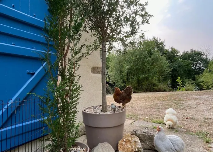 Stunning Boutique Flore At Vive Le * Bussière-Badil