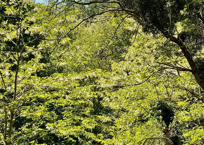 Feriehus Stunning Boutique Flore At Vive Le